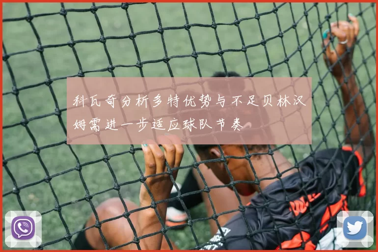 科瓦奇分析多特优势与不足贝林汉姆需进一步适应球队节奏