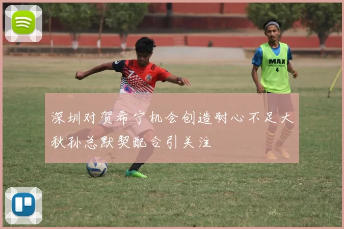 深圳对贺希宁机会创造耐心不足大秋孙总默契配合引关注